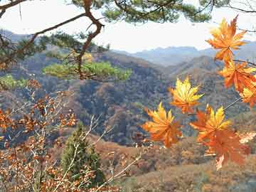多少岁可以购买打胎药吃药流打胎后几天可以复检（药流打胎后几天可以复检一次）
